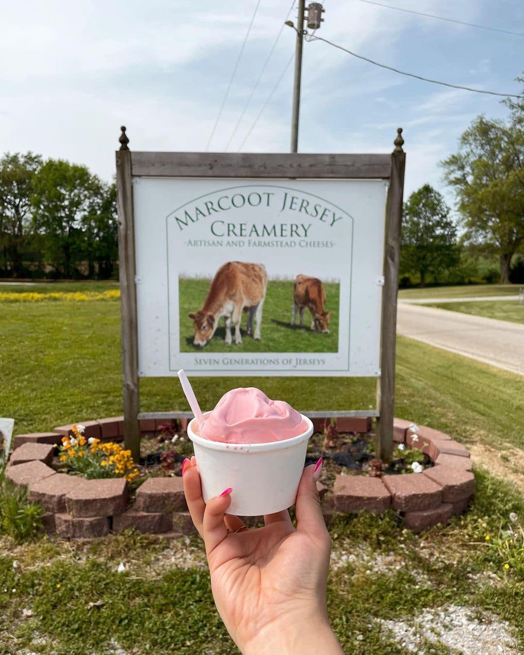 Photo credit: Marcoot Jersey Creamery in Greenville